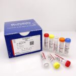 EBX-010 EurobioPlex HEV molecular biology reagent kit