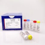 EBX-013 EurobioPlex Bartonella molecular biology reagent kit