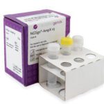 Kit NGSgo-AmpX v2 e v3 per l'amplificazione di geni HLA a lunga lettura, compatibili con le piattaforme di sequenziamento Illumina e Ion Torrent