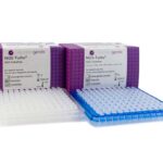 Kit di preparazione NGS-Turbo e TurboAmp per la tipizzazione HLA a 11 loci con il sequenziamento Oxford nanopore