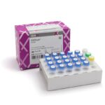 Il monitoraggio del chimerismo donatore-ricevente altamente sensibile può contribuire alla diagnosi di recidiva leucemica e consentire un rapido intervento clinico. I nostri kit di tipo KMR possono essere utilizzati per determinare la presenza o l'assenza di marcatori genetici per il monitoraggio del chimerismo. Utilizzando la tecnica qPCR, è possibile ottenere una sensibilità dello 0,05% (cioè da 20 a 100 volte più sensibile dell'attuale metodo STR convenzionale). Dopo la genotipizzazione con KMRtype, è possibile utilizzare il kit KMRtrack per il monitoraggio. I kit KMRtype e KMRtrack sono disponibili nelle versioni RUO e CE-IVD.