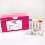 EBX-012 Kit di reagenti per la biologia molecolare di Eurobioplex Zikavirus