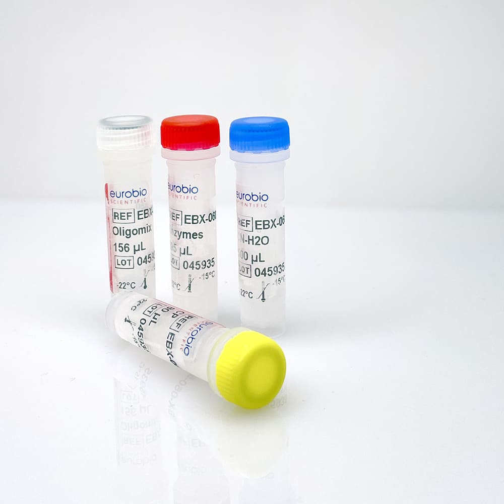 EBX-060 EurobioPlex Monkeypox Screening Test kit de réactifs de biologie moléculaire