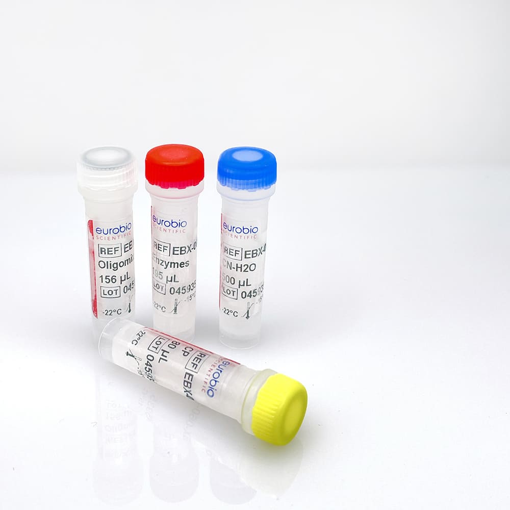 EBX-060 EurobioPlex Monkeypox Screening Test kit de réactifs de biologie moléculaire