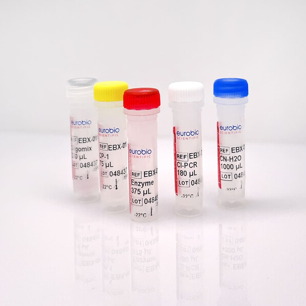 EBX-011 Kit di reagenti di biologia molecolare Eurobioplex HSV1, HSV2, VZV