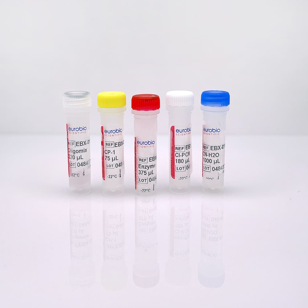 EBX-011 Kit di reagenti di biologia molecolare Eurobioplex HSV1, HSV2, VZV