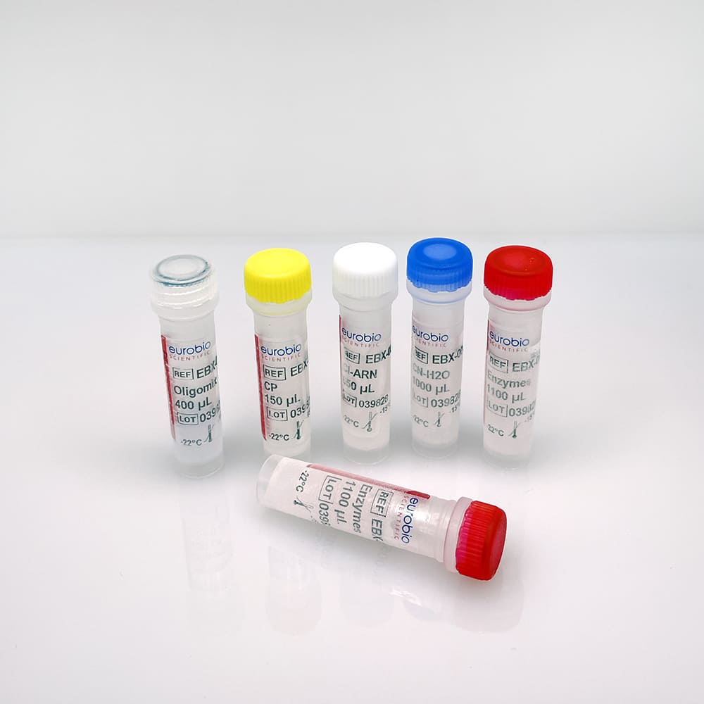 EBX-005 Kit de reactivos de biología molecular EurobioPlex Leptospire