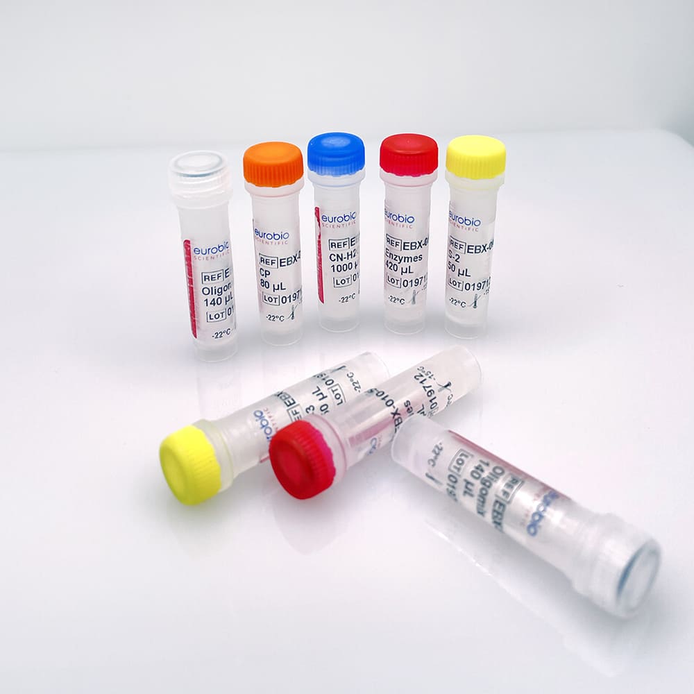 EBX-010 Kit de reactivos de biología molecular EurobioPlex HEV