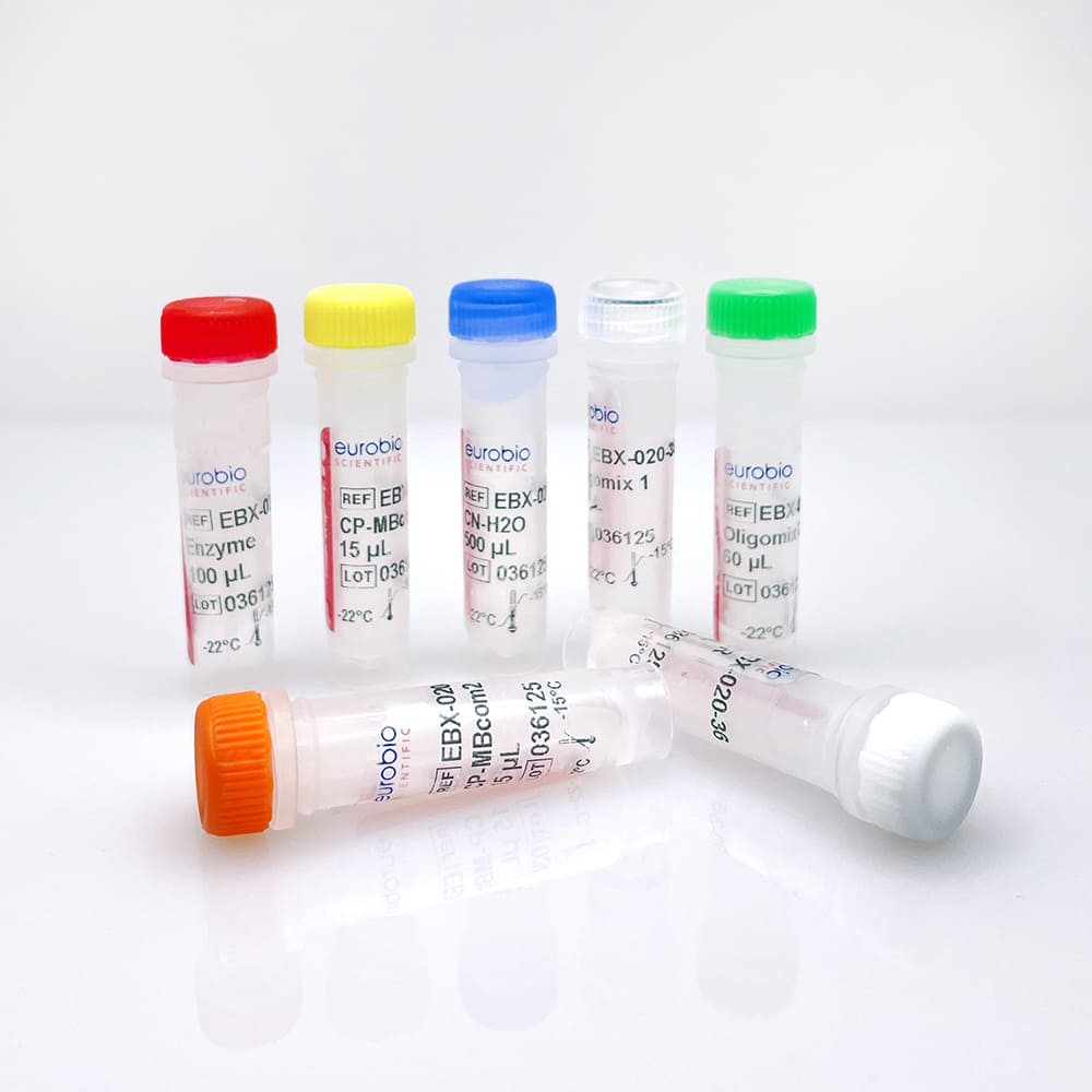 EBX-020 EurobioPlex Méningite bactérienne communautaire kit de reactivos de biología molecular
