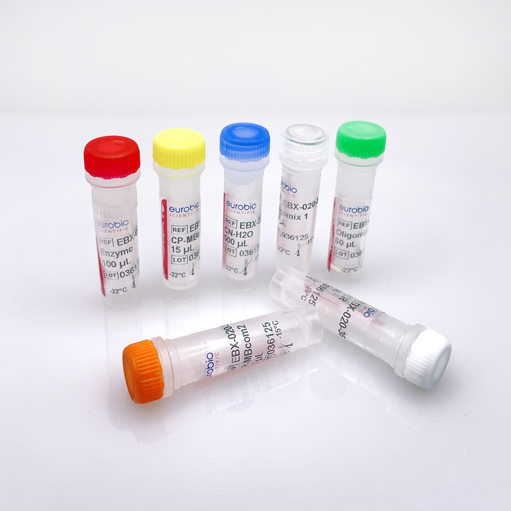 EBX-020 EurobioPlex Méningite bactérienne communautaire kit de reactivos de biología molecular