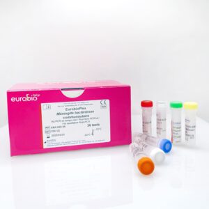 EBX-020 EurobioPlex Méningite bactérienne communautaire Reagenziensatz für die Molekularbiologie