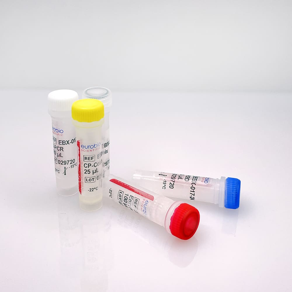 EBX-017 EurobioPlex Coxiella Burnetii Reagenziensatz für die Molekularbiologie